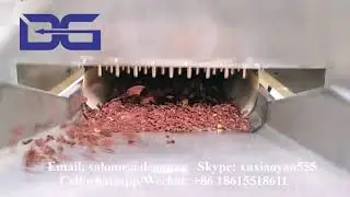 Twin Screw Extruded Coco Crunch/Koko Krunch/Chocolate Corn Flakes Making Machine Manufacturing Plant