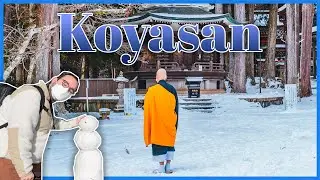 KOYASAN : J'AI PASSÉ LA NUIT DANS UN TEMPLE