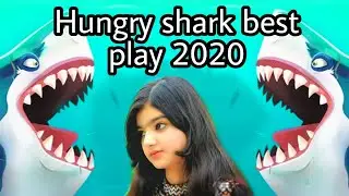 Hungry shark game top best play 2020
