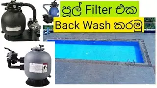 How to Backwash Swimming Pool Filter | Simple Sinhala Explanation | Pool Cleaning | Vlog 06