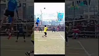 Setter & attacker iq is high