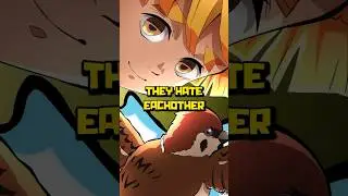 Demon Slayer&rsquo;s Crows All Have Names and Personalities like Zenitsu's Bird