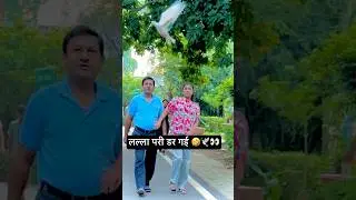 Yaari (Official Video) Masoom Sharma Rohit Lamba, Vinay Yadav | New Haryanvi Songs Haryanavi 2025🕊️