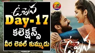 Record Breaking: Uppena 17th Day Collections| Uppena Box Office 17 Days Collections| T2Blive