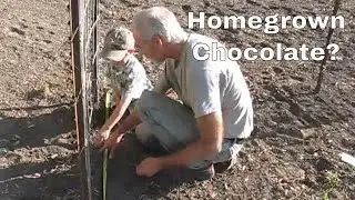 Homestead Kids Can Grow Chocolate