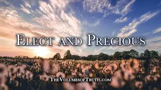 ELECT AND PRECIOUS (music/lyric video) - 
