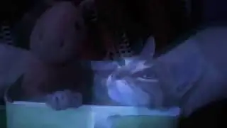 gato de supersimon