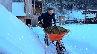 Карпатская зима - работа в холоде в горной деревне