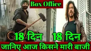 Gaddar2 Vs pathan movie day-17 box office collection । gaddar2 movie 17th day collection report