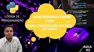 Como programar com  TYPE para identificar um tipo de dado em Python no Replit