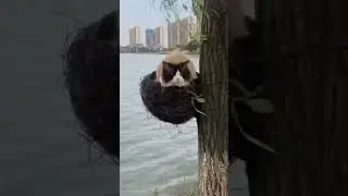 #bulun