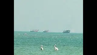 عوائل القطيف السعودية