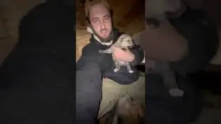 В логове у Арктических ВОЛКОВ 😱