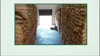FCI's Fumigation Process: Ensuring Pest-Free Depots || Food Corporation of India