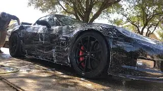2013 Z06 corvette clay/wax engine bay detail.