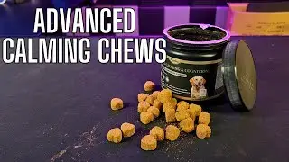 Advanced Calming Chews for dogs | Goes beyond just calming