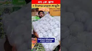 মাত্র ৪ টাকায় চায়না মাজুনি #foryou #businessidea #wholesale