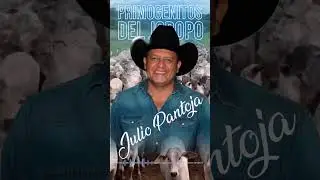 🐴Julio Pantoja 🎶SERIE PRIMOGENTOS DEL JOROPO 💥EDVTV PRODUCCIONES💥