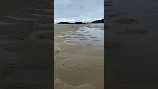 Low Tide