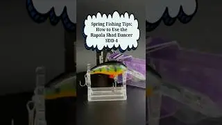 Spring Fishing Tips: How To Use The Rapala Shad Dancer SDD-4