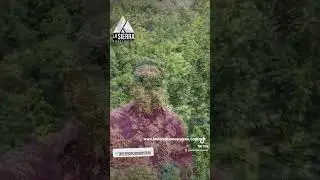 Terreno con cascada en el bosque