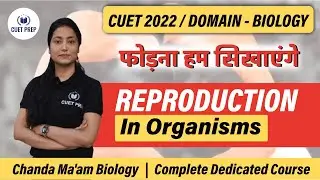 #4 | Domain Subject Biology | Events in Sexual Reproduction | Sexuality in Organism | CUET PREP 2022