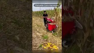 Portable Corn Harvester, handy machine😎