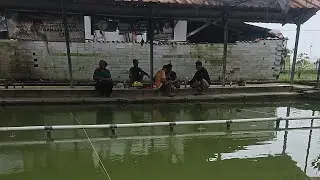 Babe Fishing team sedang live sekarang!