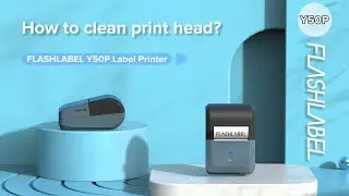 How to clean print head?