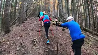 5 Reasons Why Running in the Mountains is an Unforgettable Experience