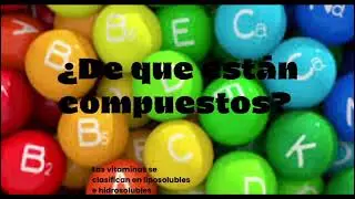 macronutrientes y micronutrientes