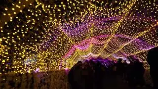2025-12-22 東京メガイルミ@大井競馬場18時41分頃(TOKYO CITY KEIBA イルミネーション)☆polaris