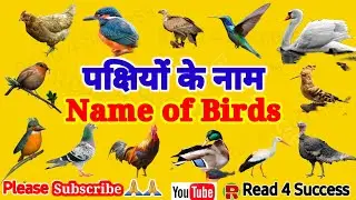 Learn Birds Name in Hindi and English | पक्षियों के नाम | Ornithology | Birds Name | Pakshiyon| 🐧🔥