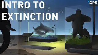Intro to Extinction