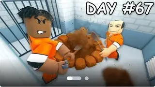 DIG TO ESCAPE! (Obby) No Death Walkthrough 4K | Roblox Full Gameplay