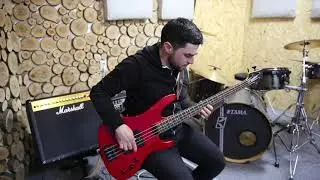 Red Hot Chili Peppers - Californication. Уроки на бас-гитаре. Частная Академия Эстрадного Искусства