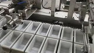 Automatic boxed silken tofu packing machine