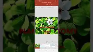 Introduction plant anatomy