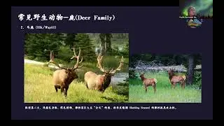 PNOA Outdoor Safety Series-Wildlife Safety Webinar