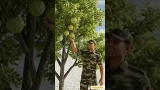 An Indian Soldier Turned a Desert Into a Fruit Paradise 🇮🇳🌱#shorts #ai #tree  #indianarmy