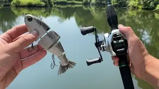 Pond Fishing with BIG Bull Shad Swimbaits!!