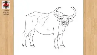 How to Draw a Buffalo Drawing Easy Outline | Step by Step Animal Sketch Tutorial for Beginners