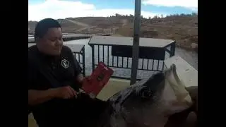 Highlights of today fishing at Wahweap Lake Powell