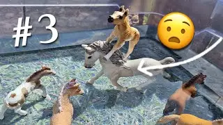 Das Geheimnis 😳Im Freibad || Schleich Fohlenschule #3