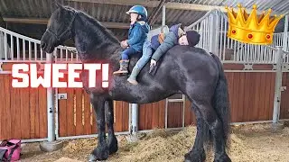 Sometimes Queen👑Uniek is in pain, just like me... She is very sweet to the boys | Friesian Horses