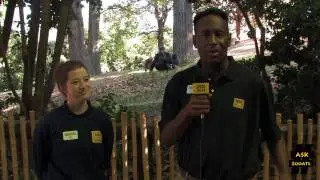 #AskZooATL - Ep. 1.12  