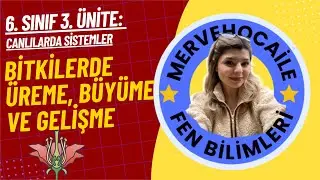 6. SINIF BİTKİLERDE ÜREME, BÜYÜME VE GELİŞME+ÇİMLENME- CANLILARDA SİSTEMLER (3. ÜNİTE) KONU ANLATIMI