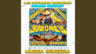 Las Guitarras Siboneras, Exito Sonido Siboney