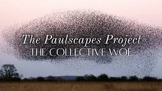 [ROYALTY FREE AMBIENT MUSIC] The Collective Woe - The Paulscapes Project