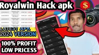 royalwin hack app//royalwin winning trick/royalwin withdrawal problem solved
